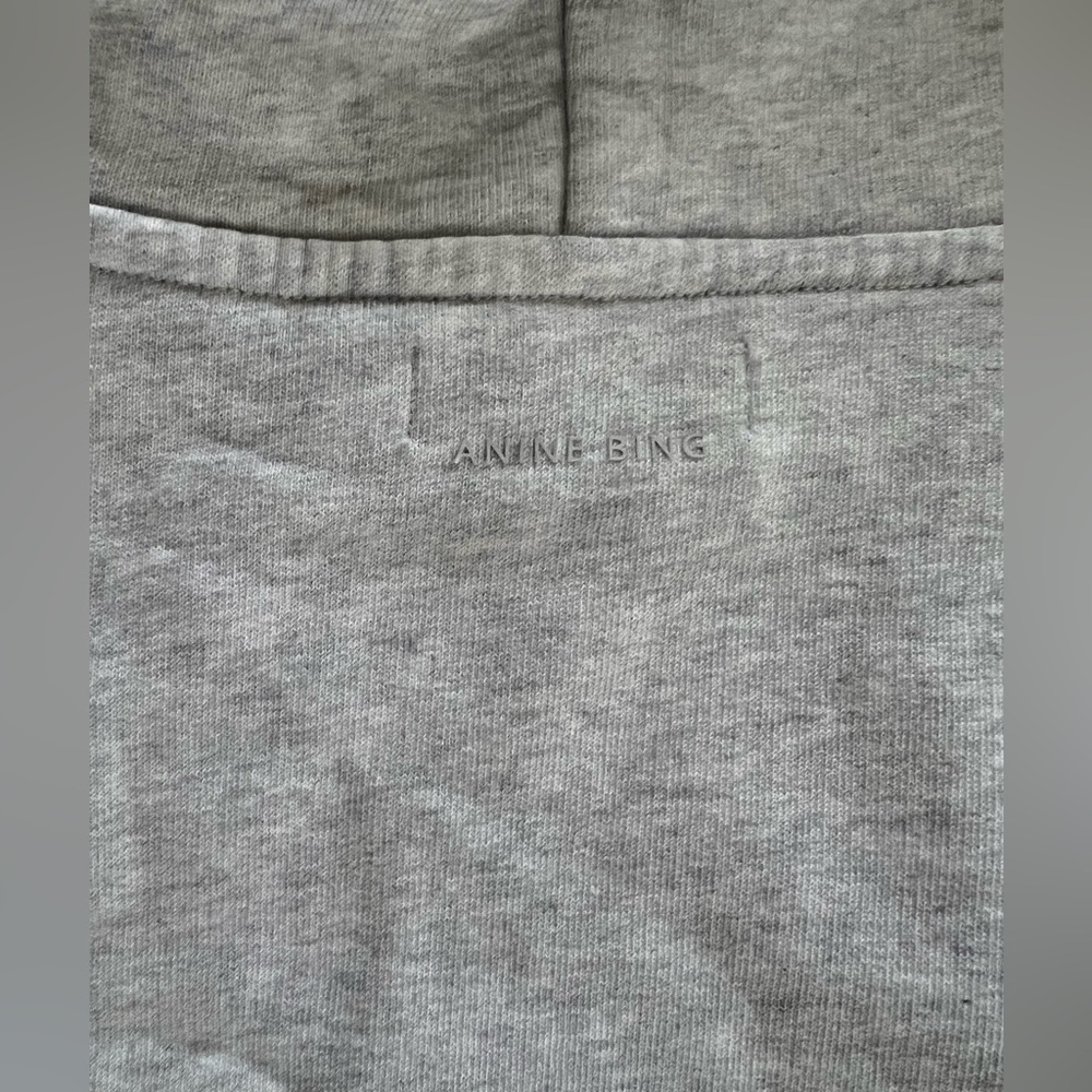 Anine Bing Sport Light Gray Tyler Hoodie - Picture 8 of 9